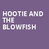 Hootie and the Blowfish, Honda Center Anaheim, Anaheim