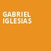 Gabriel Iglesias, Honda Center Anaheim, Anaheim
